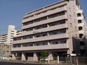 サリテールモリ