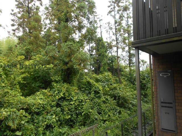 物件内観写真34　