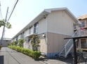 マスカット