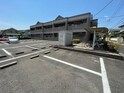 プロニティ　マイス
