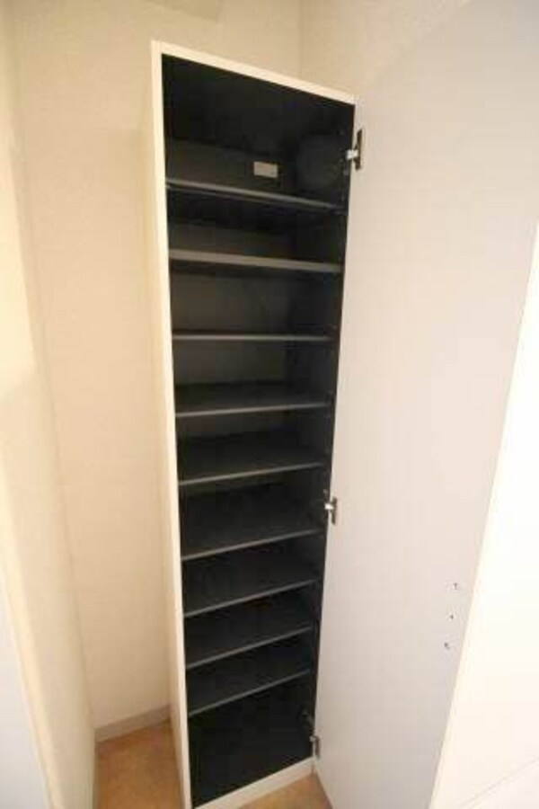玄関(同物件、別部屋の写真です)