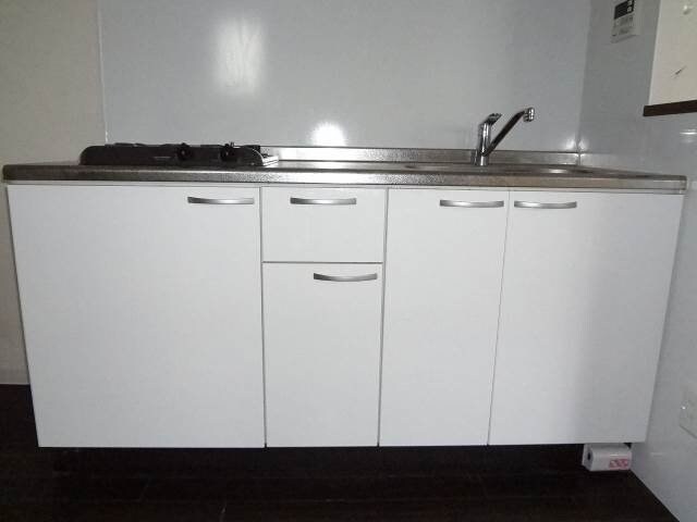 物件内観写真21　(キッチン収納)