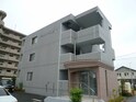 グランストーク初生