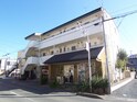 ルミエール（初生）