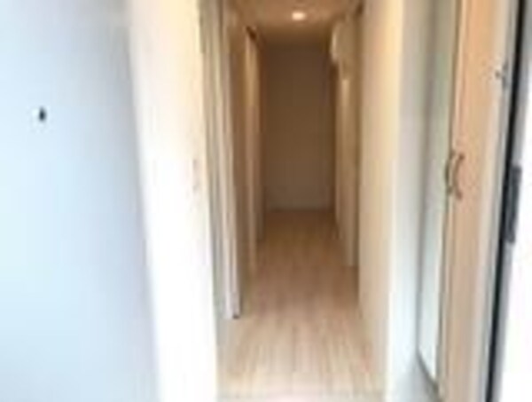 玄関回り