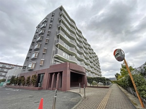 ノバハイツ信夫ヶ丘(206)外観写真
