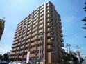 ライオンズマンション御倉町　1003
