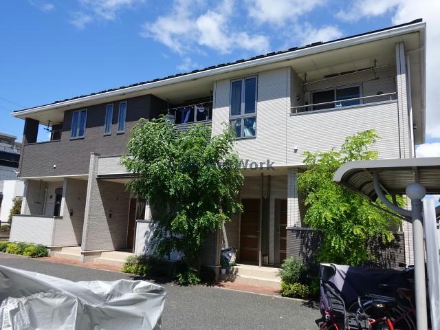 アカシア