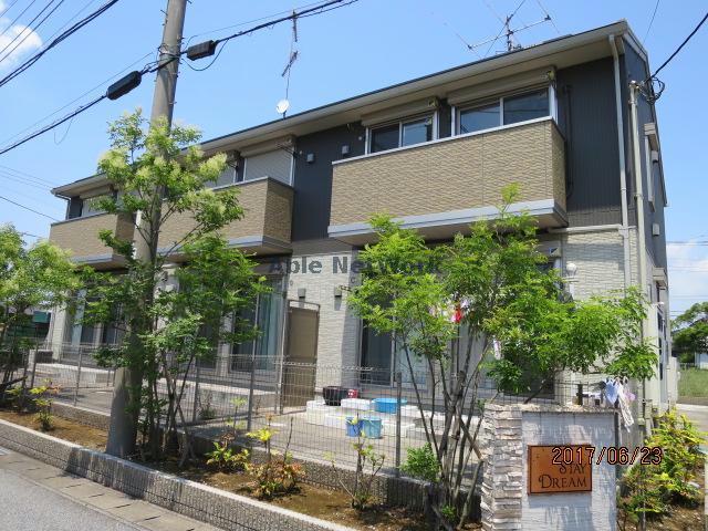ステイドリーム