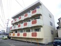 サンライズⅡ