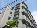パレドールお花茶屋