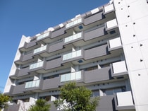 カーサフェリーチェ柴又の外観写真