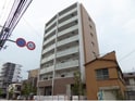 グレイス綾瀬