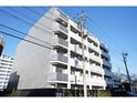 アルテカーサアリビエ綾瀬