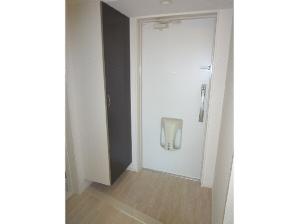 玄関回り(玄関)