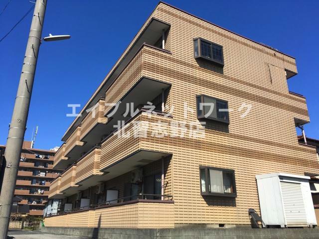 ライブカトレア