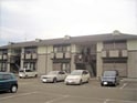 ハミング田川
