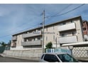 ウィット須田ノ木