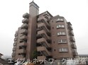 レインボー原山