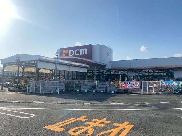 DCM土与丸店