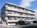 ラ・プリマベーラ