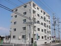 グレースフィール