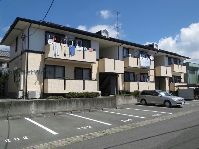マグノリア