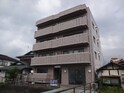 ＧＲＡＣＥ　ＭＩＴＡＫＡ　ＣＯＵＲＴ