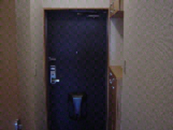 玄関回り(玄関)