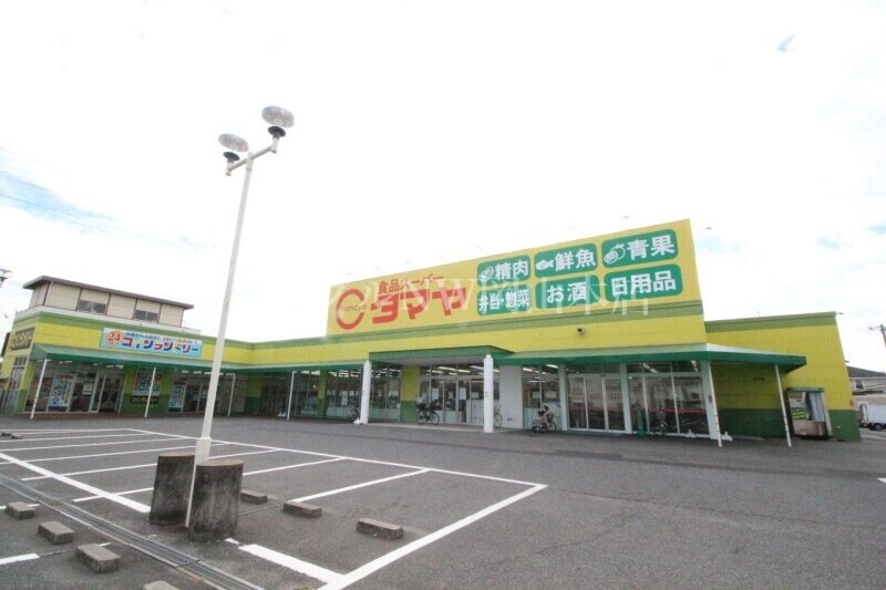 タマヤ 豊成店