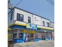 リージングサン