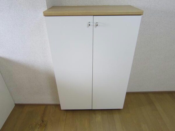 玄関回り(同タイプ（イメージ）)