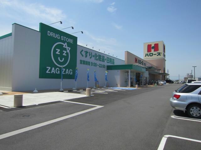 ザグザグ鳴門店