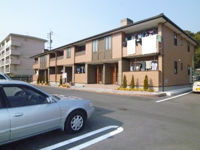 プリムローズ　Ｂ