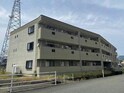 キララ25