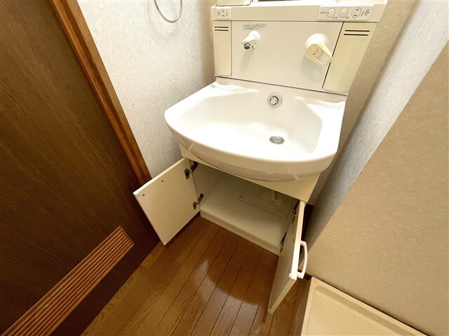 物件内観写真16　(洗面台下収納)