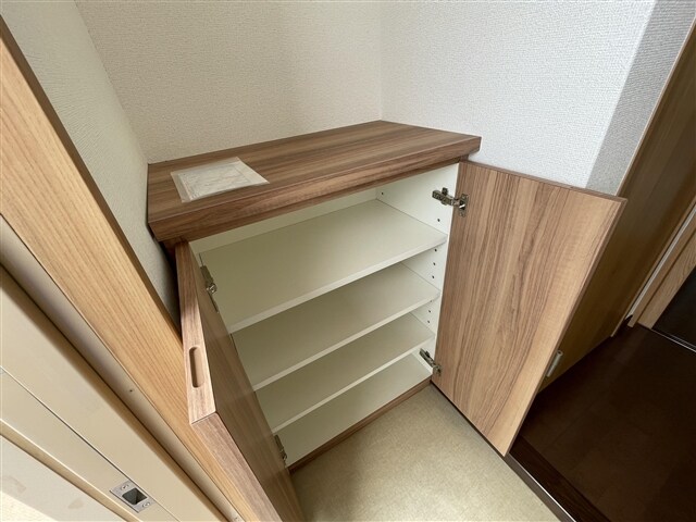 物件内観写真6　(シューズボックス)