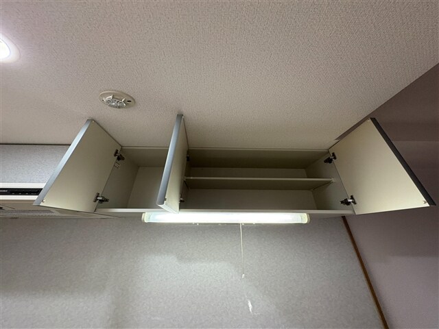 物件内観写真10　(キッチン収納)