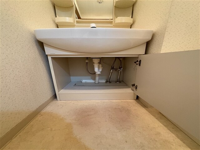 物件内観写真15　(洗面台下収納)