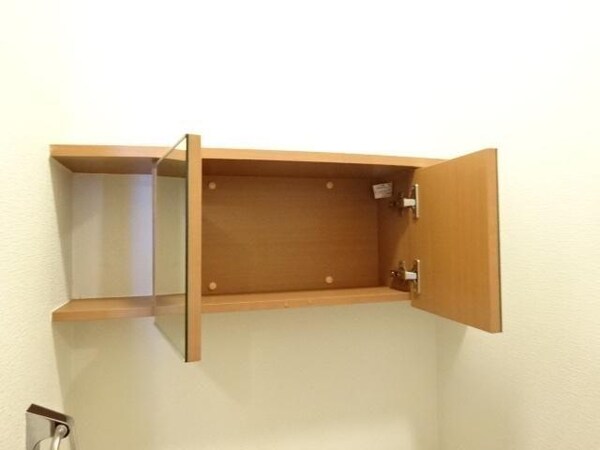 居室(トイレ収納)