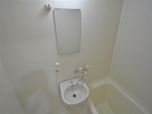 居室(洗面ボール)