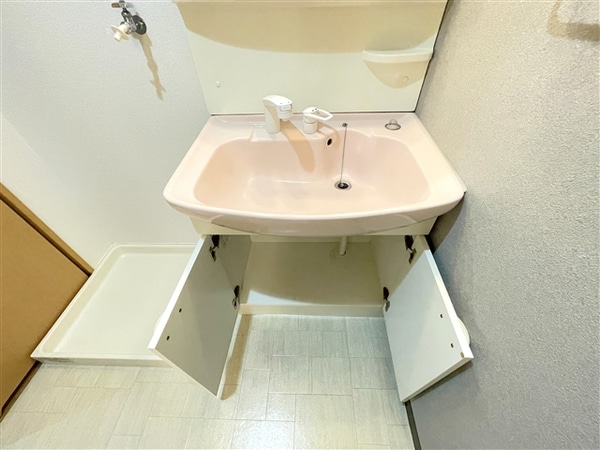 居室(洗面台下収納（モデルルーム・反転）)