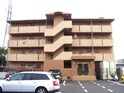 アンムート