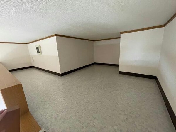 収納(ロフト)