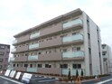 アロッジオ　トガリーゼ