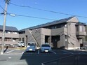 セザンヌ野依