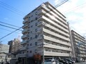コートシャンベル