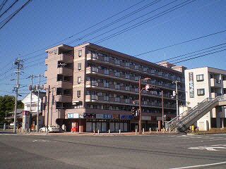 トムキャット101