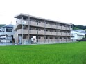 パーシモン法町