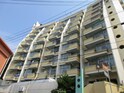 白浜レバランス